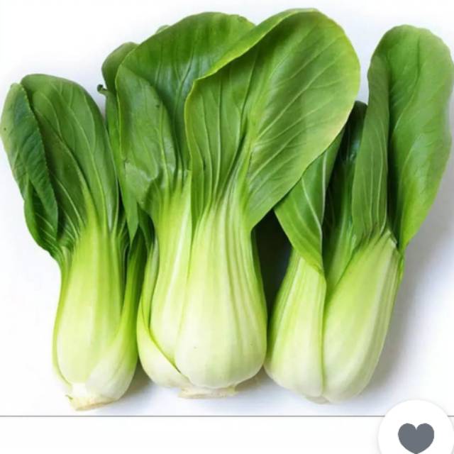 

Daun pokcay 500 gr