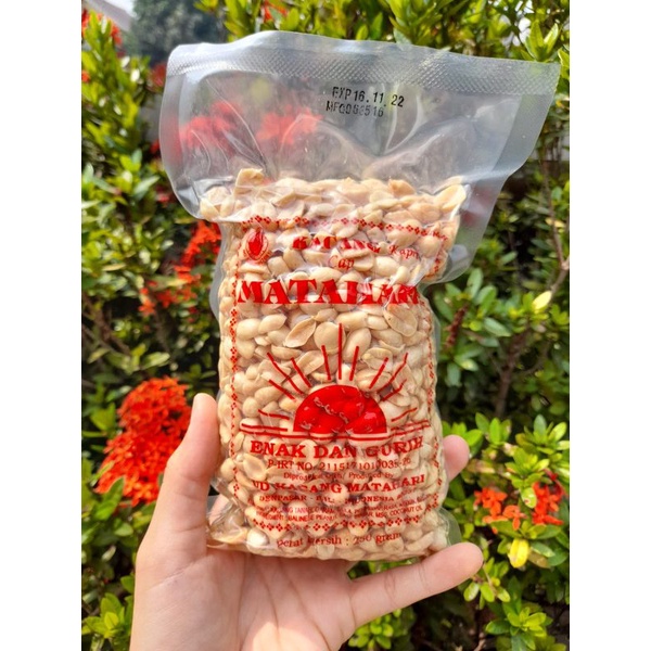

Kacang BALI Matahari