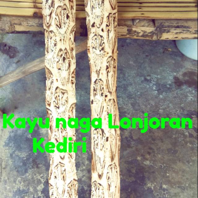 Kayu naga Lonjoran