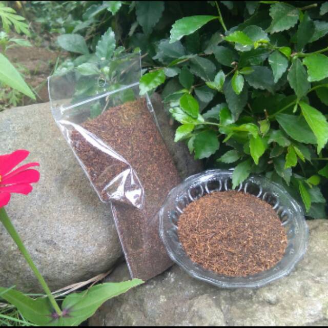 

teh hitam lembut kemasan los