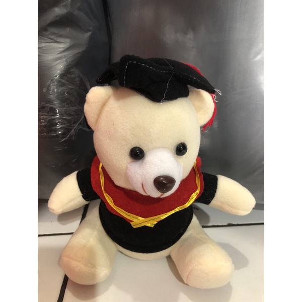 Boneka Beruang Wisuda Hadiah Wisuda SNI