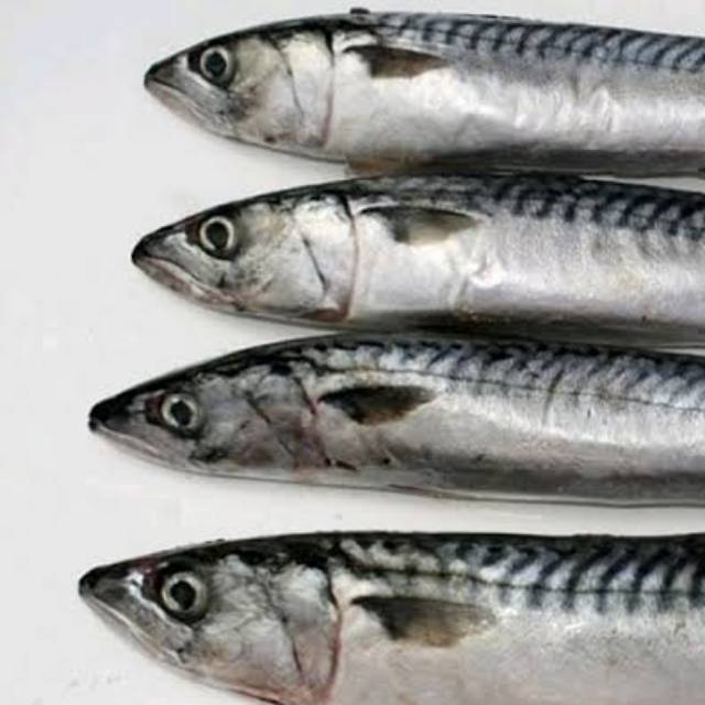 

Ikan Salem fresh 500gram