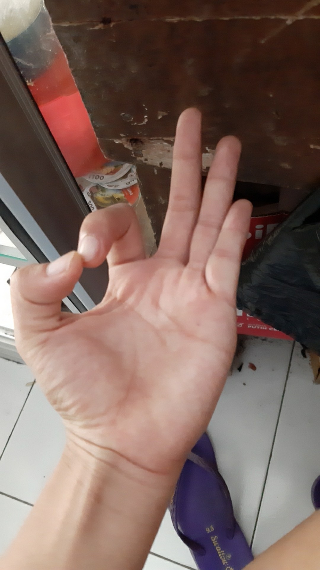 Recta Basket/box Serbaguna/storage/box Kepang/keranjang/keranjang Serba Guna/kotak Penyimpanan