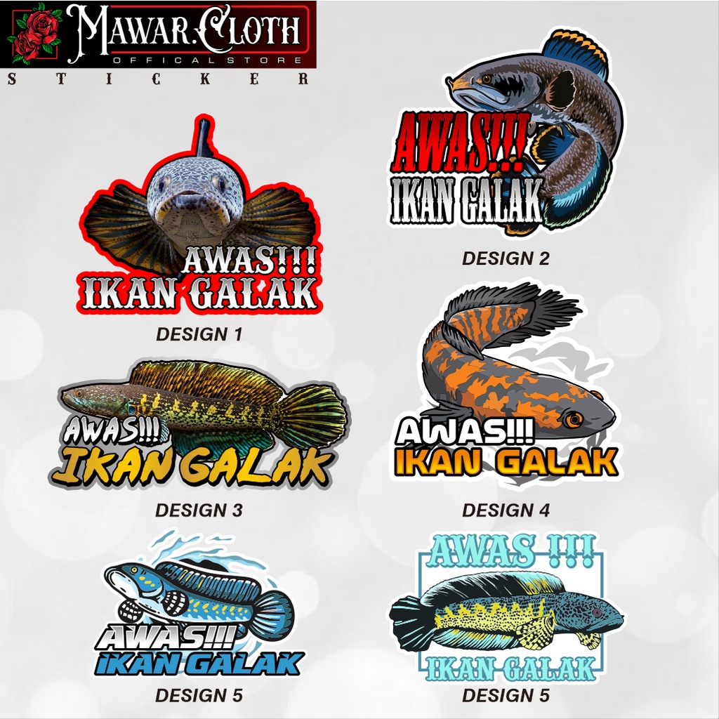 Stiker Aquarium Ikan Galak Awas Ikan Predator Channa Snake head ikan channa Maru pulcra auranti stew