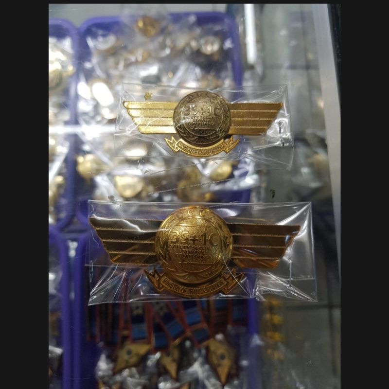 PIN 3S 1C / PIN DGCA / PIN AVSEC