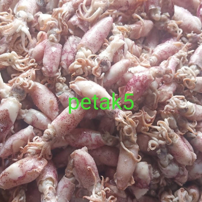 

Ikan asin beby cumi 1kg/beby cumi asin/cumi asin beby - 1kg