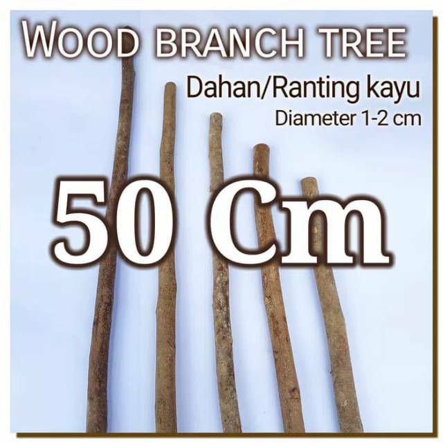 Wood Branch Tree 1-2x50 Cm Dahan kayu potongan kayu bahan craft dekor