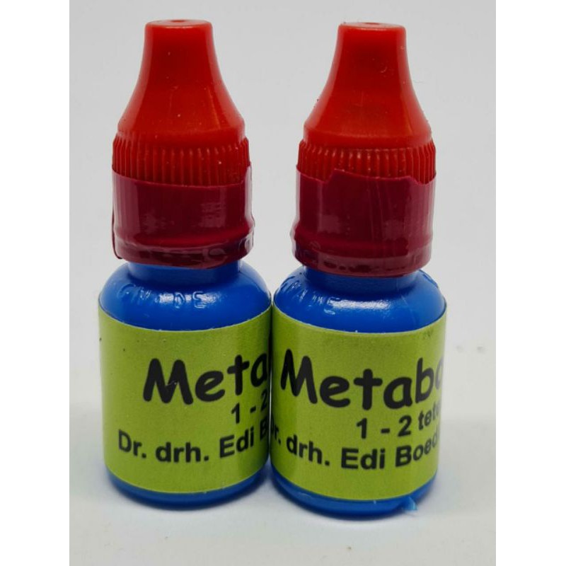 Metabolisme Dr Edi Boedi Santosa