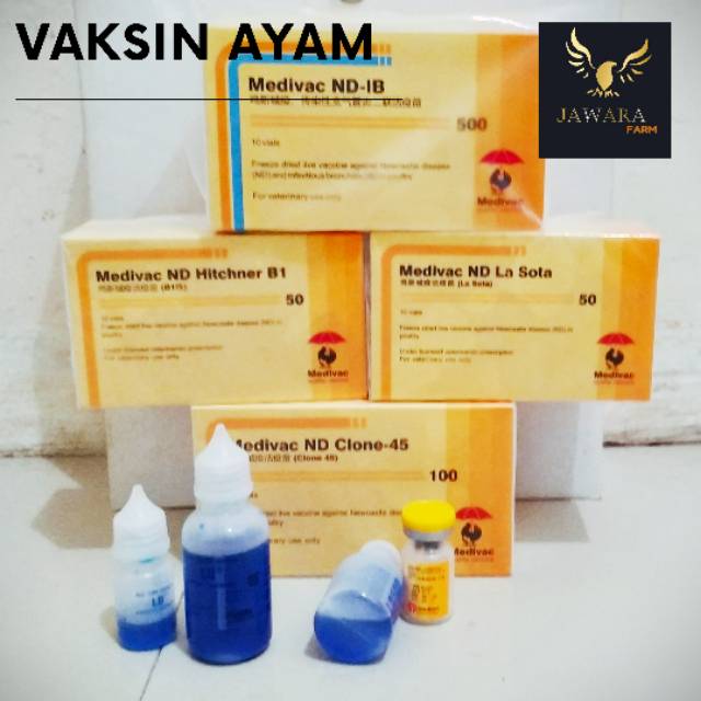 Vaksin ND Lasota Tetelo - Medivac ND