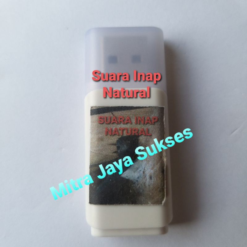 Suara Inap Walet Natural