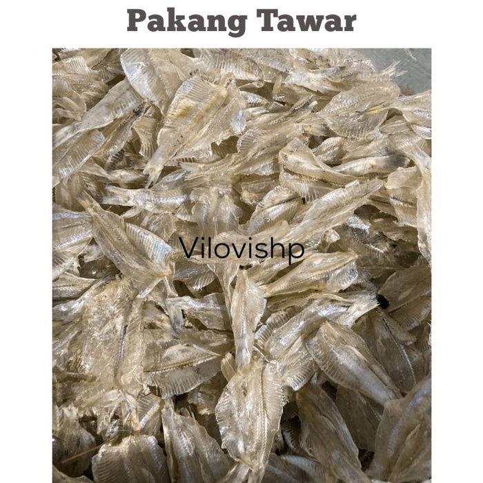 

pakang tawar 500
