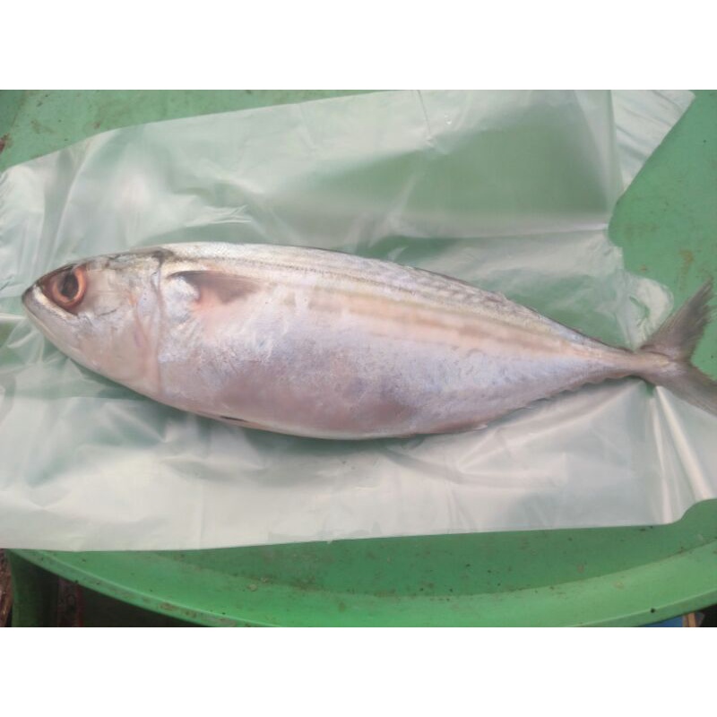

banjar 1kg