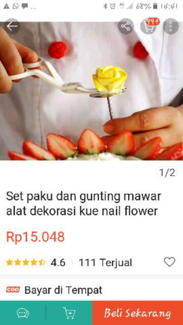 Set Paku Dan Gunting Mawar Alat Dekorasi Kue Nail Flower Butter Cream Fondant Loyang Cetakan Spuit