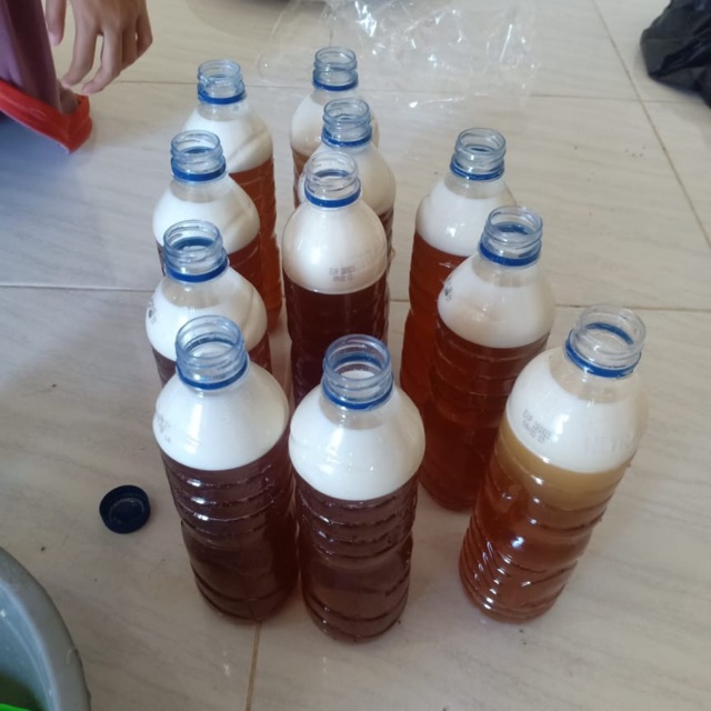 

Madu Hutan Asli Sumbawa