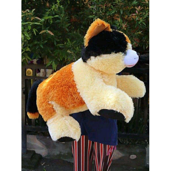 Boneka kucing jumbo / kucing anggora / boneka kucing