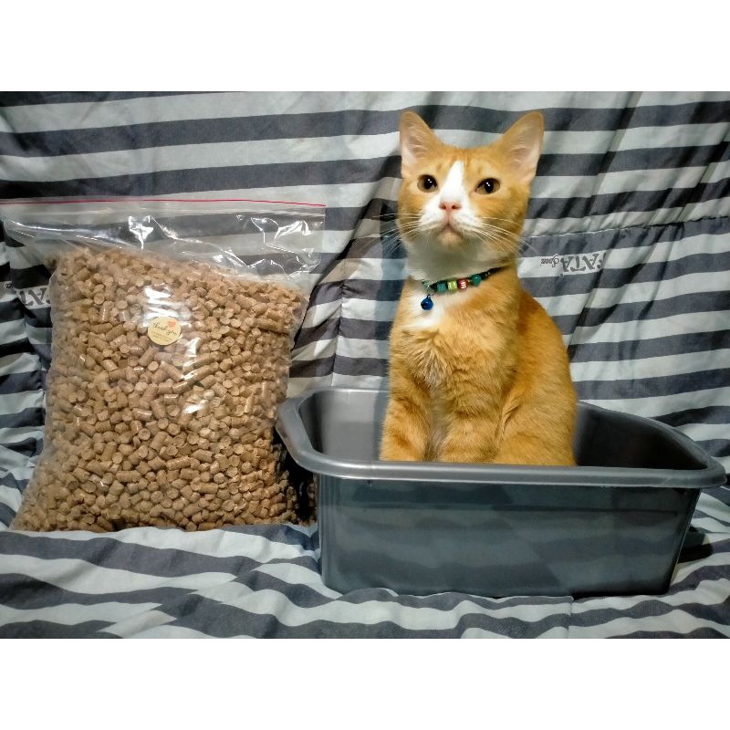 Paket Happy B Pasir Kucing VR Wood Pellet 5 Kg + Box Pasir ukuran M