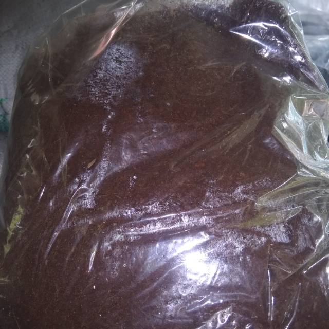 Cocopiet media hidroponik