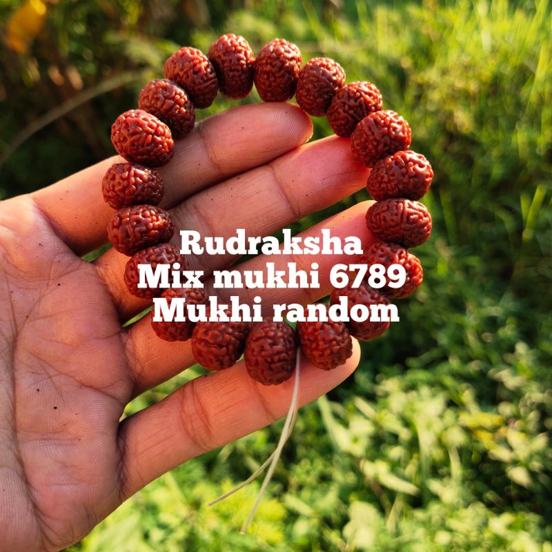 gelang rudraksha mix mukhi 678910 random