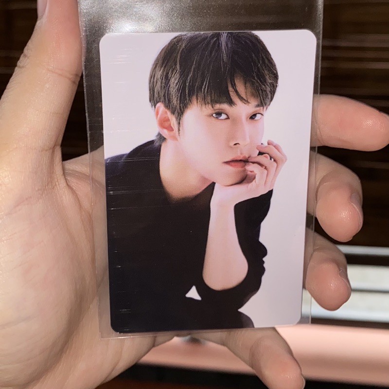 pc doyoung benefit aladin wd (take all only)