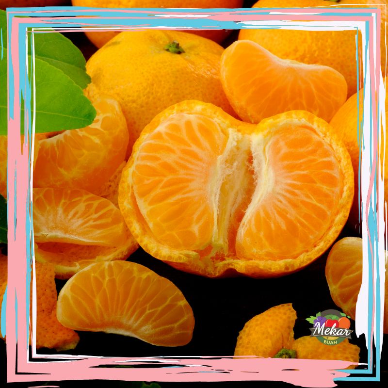 

Jeruk mandarin / ponkam manis seger asem banyak air 1kg