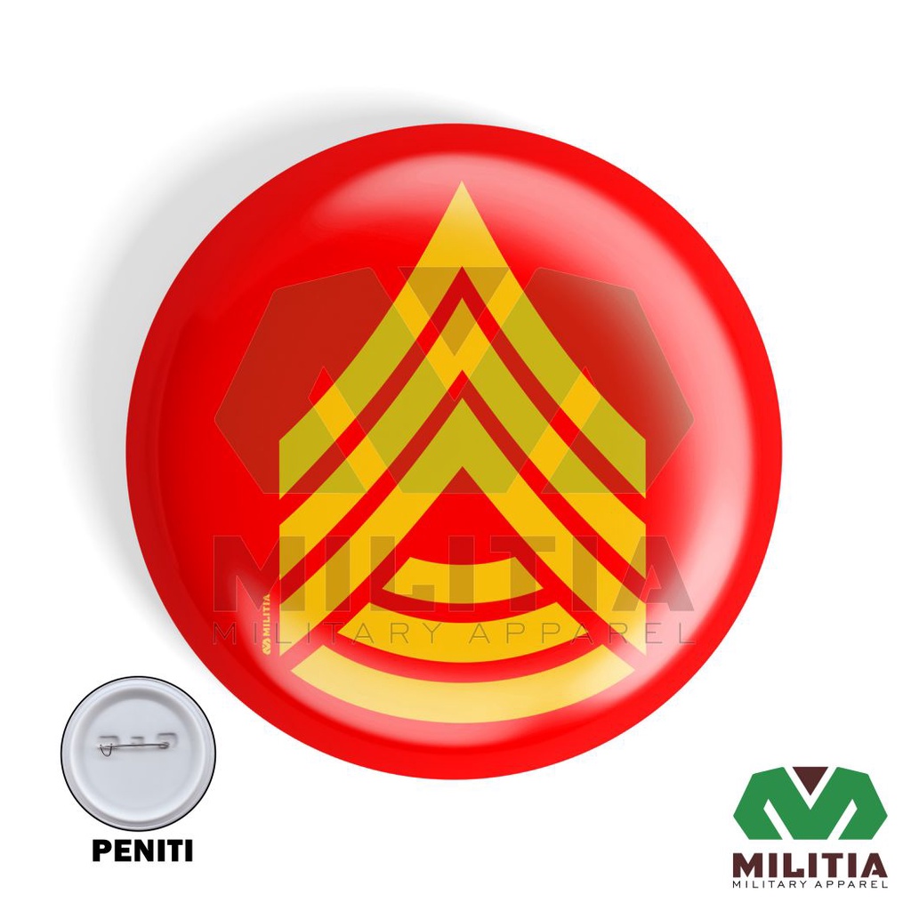 Pin Bros Sevron AKMIL AKPOL