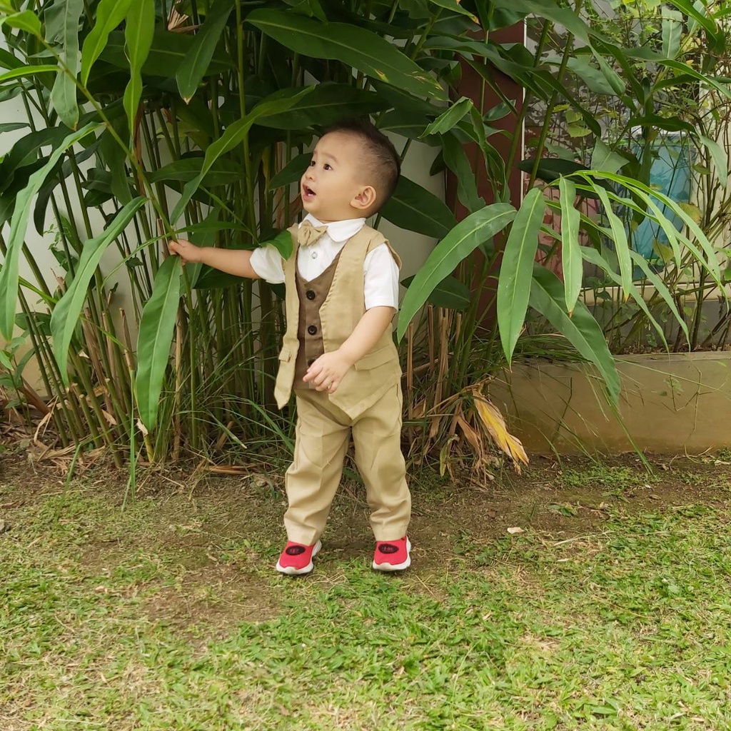 Jas Pesta anak 4 in 1 / Jas pesta toreto Rompi tuxedo acara formal / baju bayi rompi pisah banyak warna