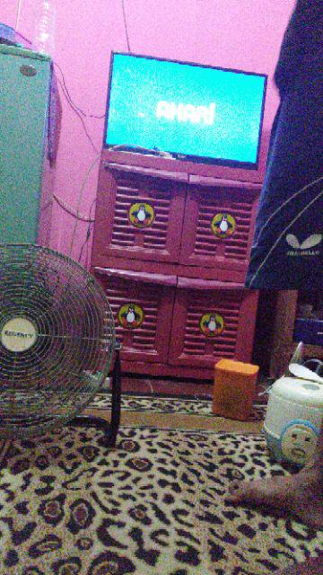 Lemari Plastik 2 Susun Jumbo Gambar Pinguin Murah