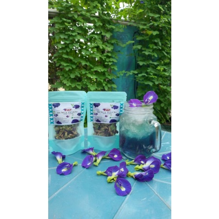 

Bunga Telang / kembang teleng kering & segar untuk yg segar baiknya chat dulu sebelum membeli