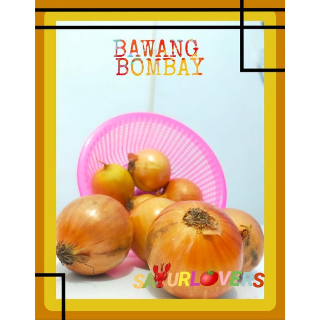 

BAWANG BOMBAY GOLD SAYURLOVERS