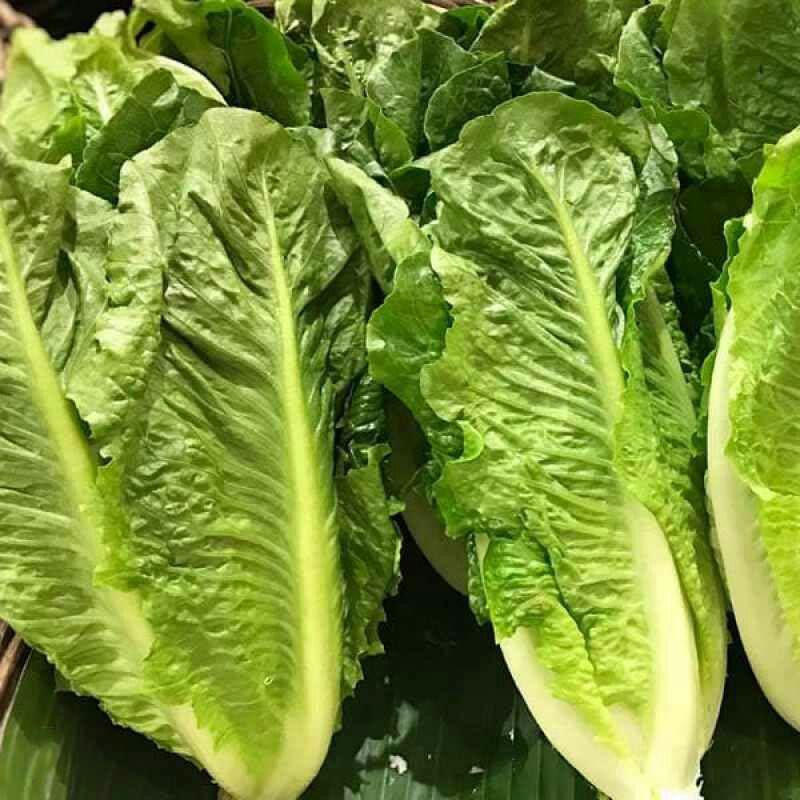 

romen freas1kg