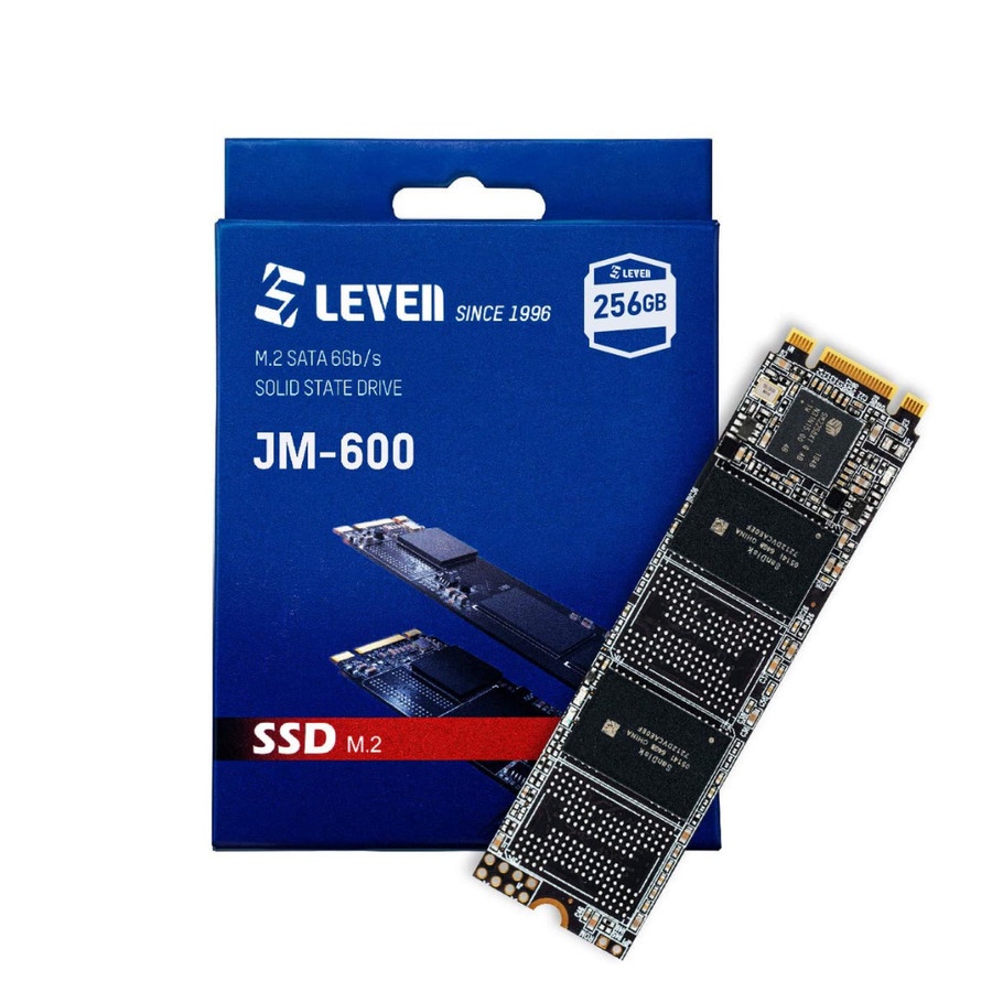 LEVEN JM600 256 GB M.2 2280 SSD