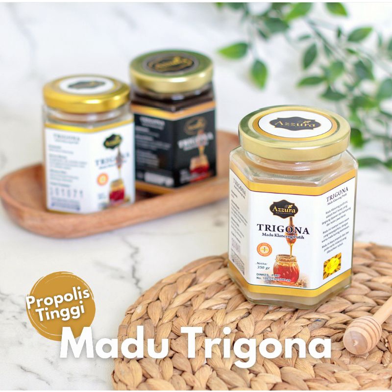 

Madu Trigona Hitam dan Putih by Azzura