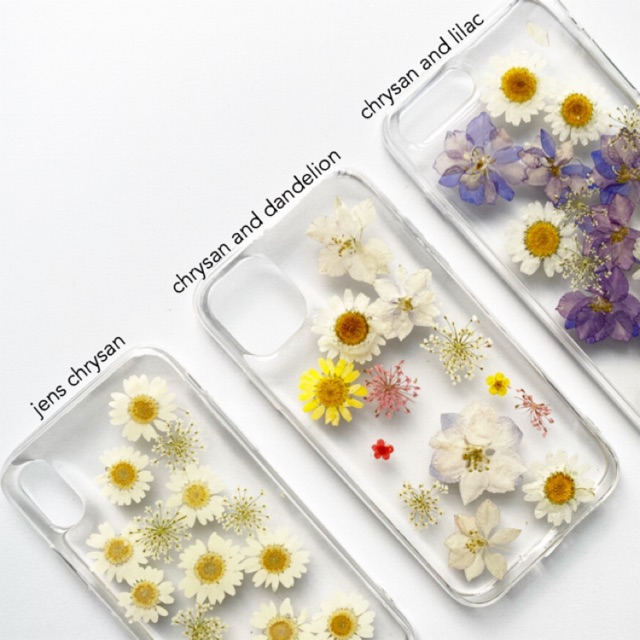 Dried Chrysanthemum Flower Case | Shopee Indonesia