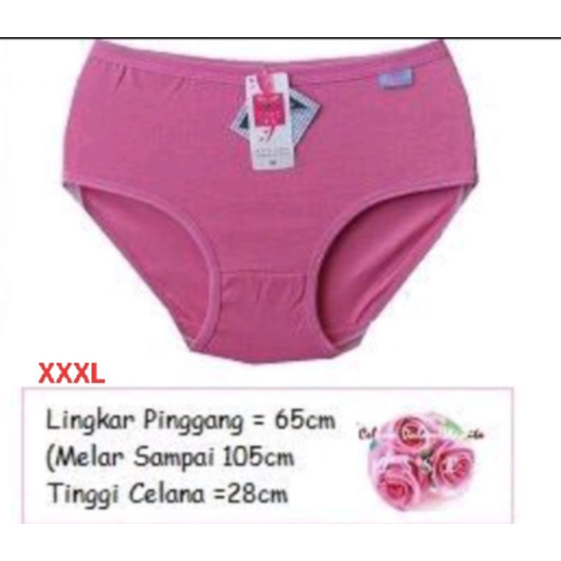 6PCS CELANA DALAM WANITA IMPORT MURAH BERKUALITAS/CD ESSE LYCRA