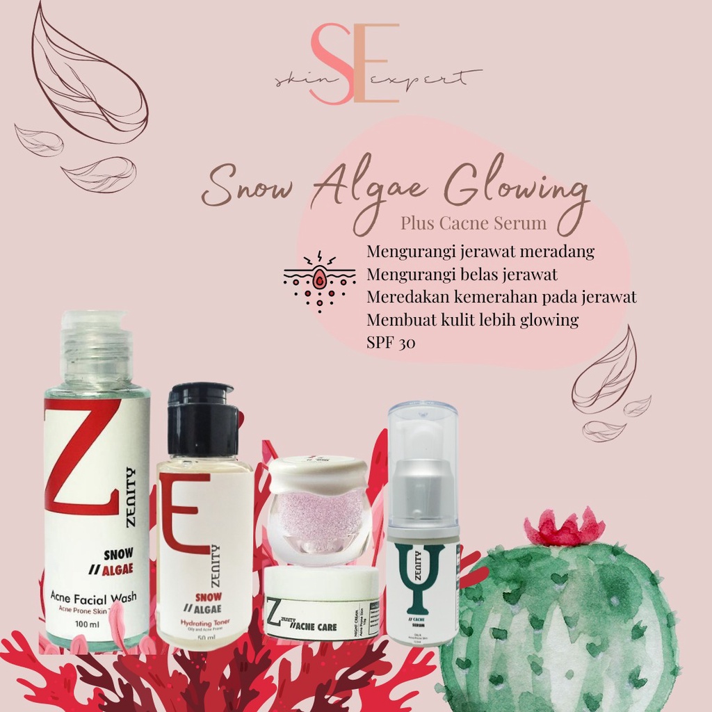 Paket Glowing Jerawat Zenity Skinexpert.id Acne Snow Algae Cream Wajah Glowing Bekas Jerawat  Acne Skin Prone Ampuh BPOM-3