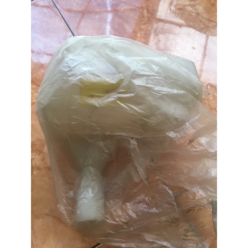 Bak Oli pisah Qingqi 50cc New