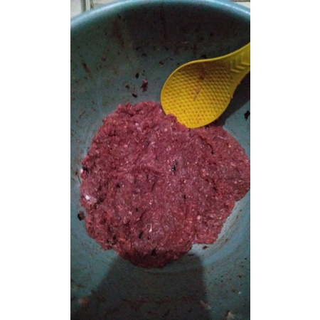 

Daging olahan biawak/umpanmancing