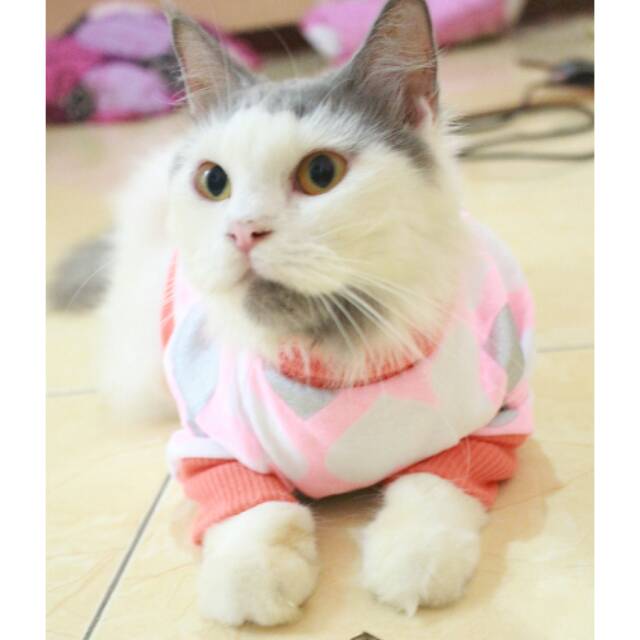 Kaos jumper lope-lope lucu untuk kucing dan anjing / baju kucing murah meriah size S M L XL