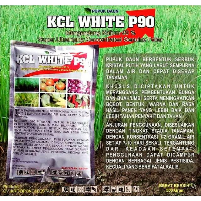 PUPUK DAUN KCL WHITE P90 500gram