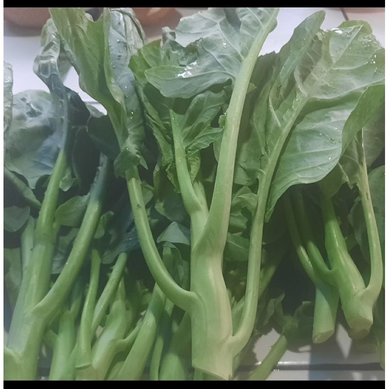 

kailan segar 250grm