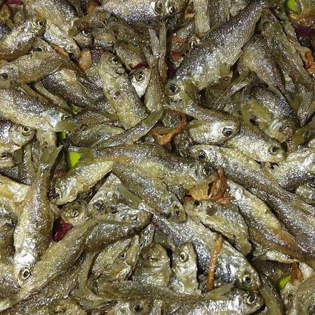 

Bili singkarak
