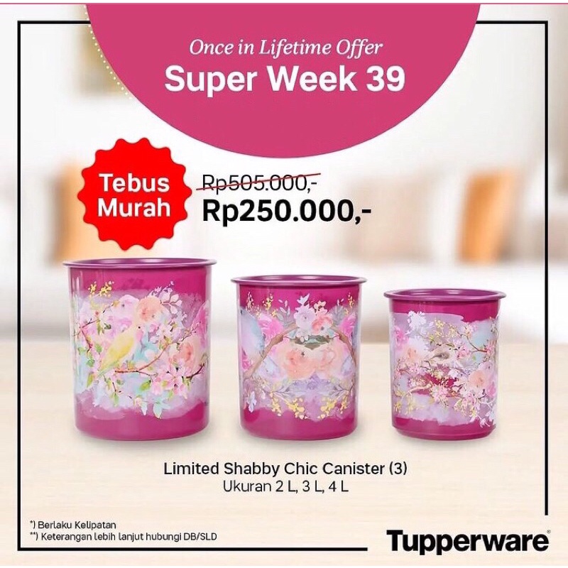 SHABBY CANISTER SET (3pcs) / Tupperware