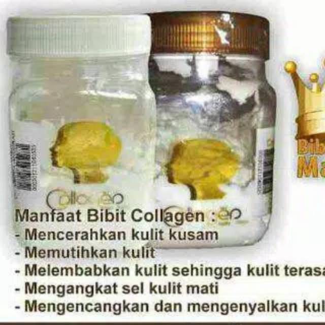 Bibit Collagen / Bibit Pemutih