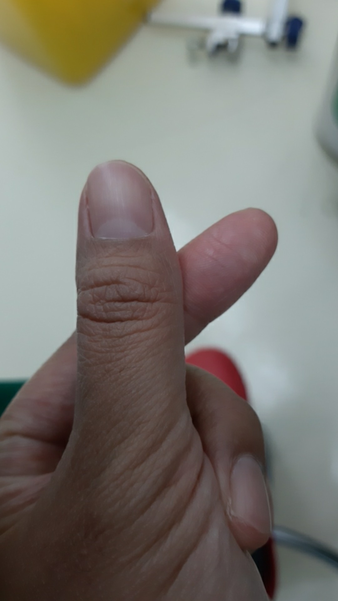 6pcs Botol Minum Biomini 600ml Bioglass Mini Infuser Tumbler Jne