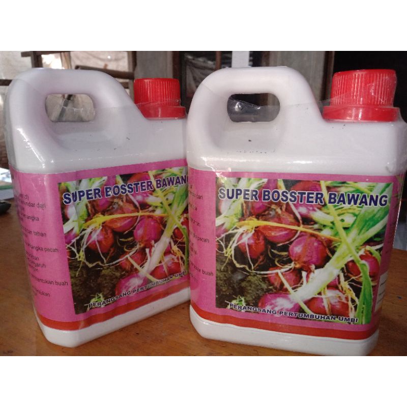 SUPER BOOSTER BAWANG MERAH KEMASAN 1LT MEMPERBESAR DAN MEMPERBERAT BUAH (MEMBUAT WARNA BAWANG MERAH 
