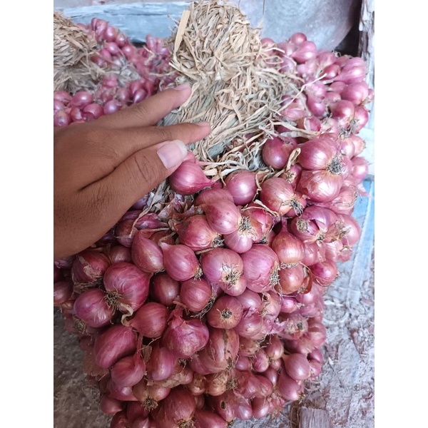 

Bawang Merah
