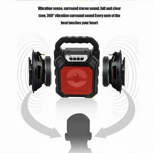 Speaker + Mic Portable Bluetooth FM Radio SD Card Aux Microphone Speaker Mini