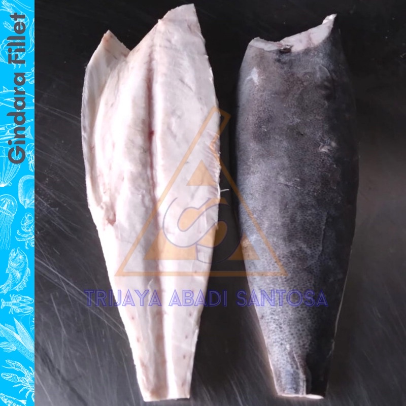 

Gindara Fillet / Oil Fish / Diet Fish Frozen per Kg