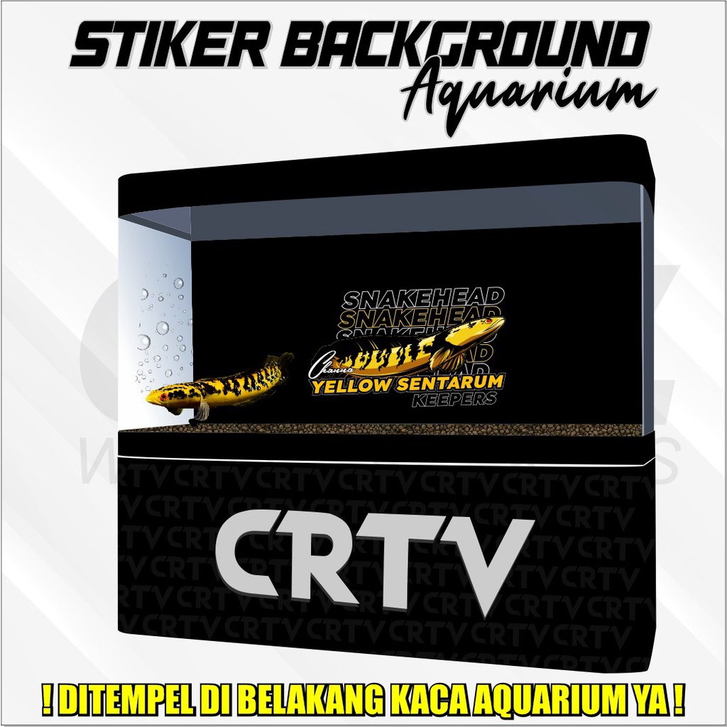 Stiker Background Aquarium Channa Predator Fish Aquascape - Crtv