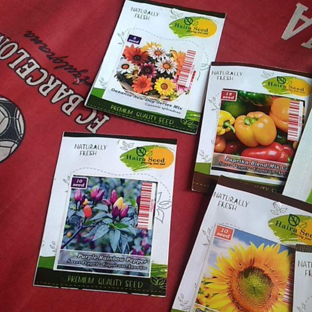Isi 10 Biji - Benih Cabai Purple Rainbow Pepper - Haira Seed